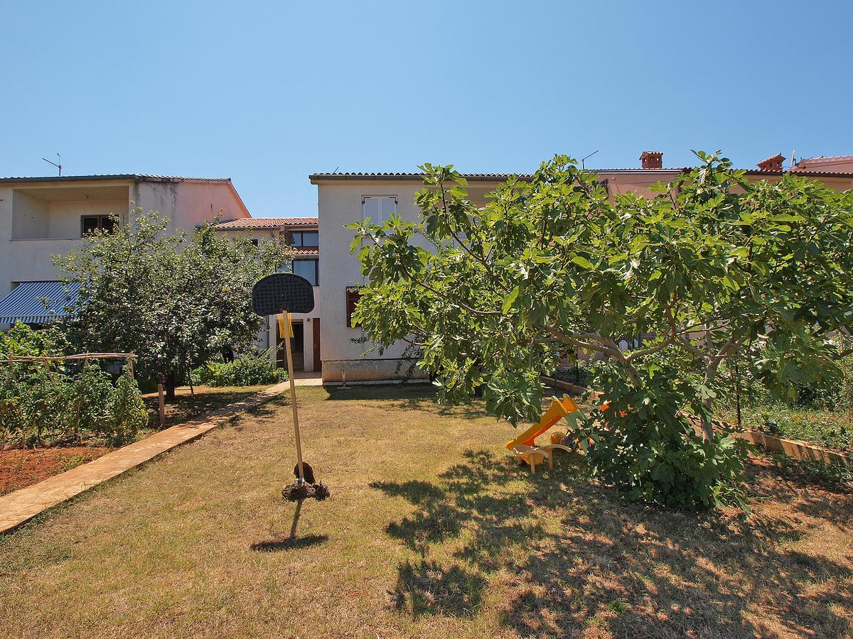 Mate 909 * Fažana